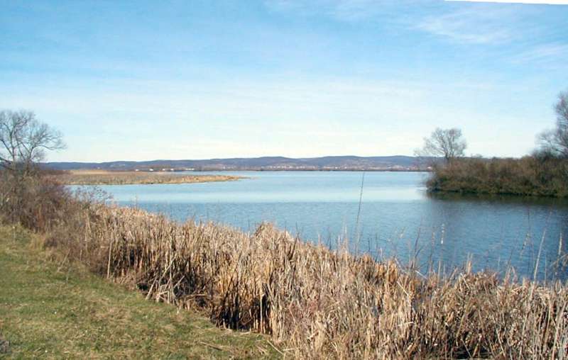 Slavonski Brod - ribnjak kod Kani�e